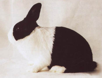 053